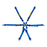 Schroth Porsche GT3 Profi 2X2 Harness